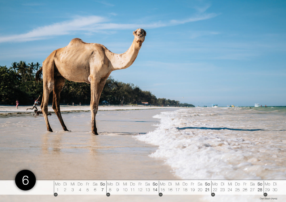 A3‑Fotokalender perspektivenWELT 2026 (limitiert)